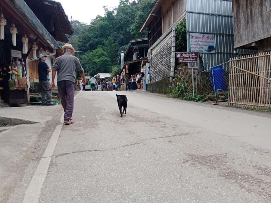 Chiang Mai: Mae Kampong Village, Hot Springs & Bor Sang Tour - What the $112 price includes