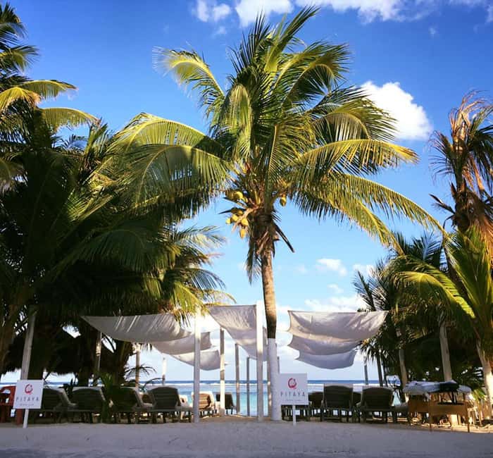 Costa Maya: Beach with Open Bar, Massage, Lunch & Snorkeling - The open bar and included lunch