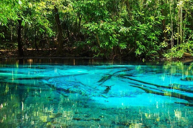 Discover Krabi - Emerald Pool, Hot Springs & Tiger Cave Temple - The key details before you book