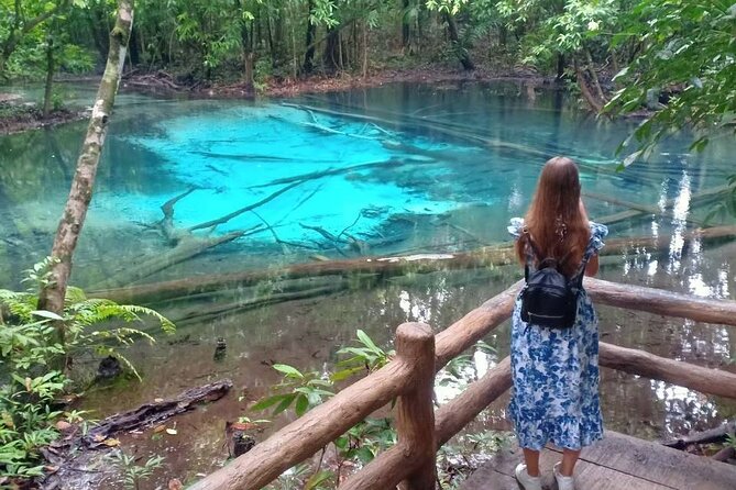 Discover Krabi - Emerald Pool, Hot Springs & Tiger Cave Temple - Emerald Pool: a forest walk with a warm swim