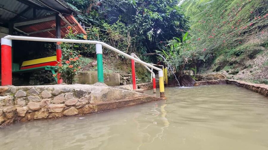 Dominica: Titou Gorge and Hot Springs Tour with Transfer - Key points to know before you book