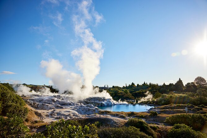 Ex Auckland: Rotorua Māori Village with Haka and Hot Springs - A short look at Rotorua before the spa