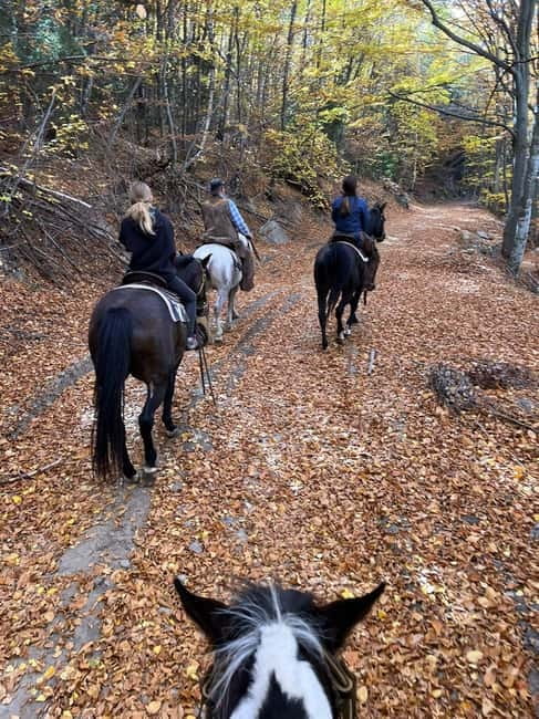 ✨Experience Sofia - nature, history, horse riding and SPA✨ - Horseback riding through Plana Mountain
