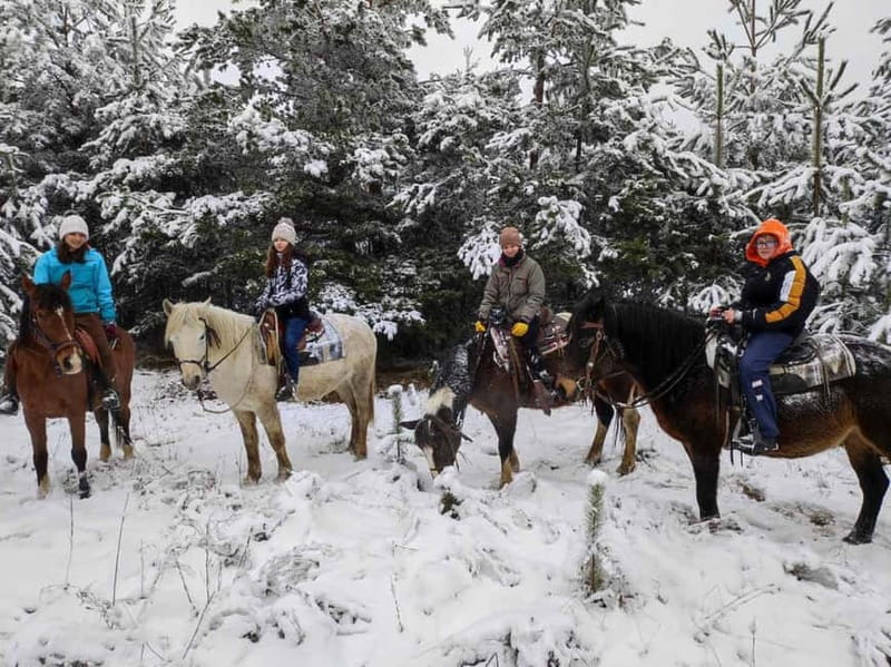 ✨Experience Sofia - nature, history, horse riding and SPA✨ - Ending in Sapareva Banya’s hot springs