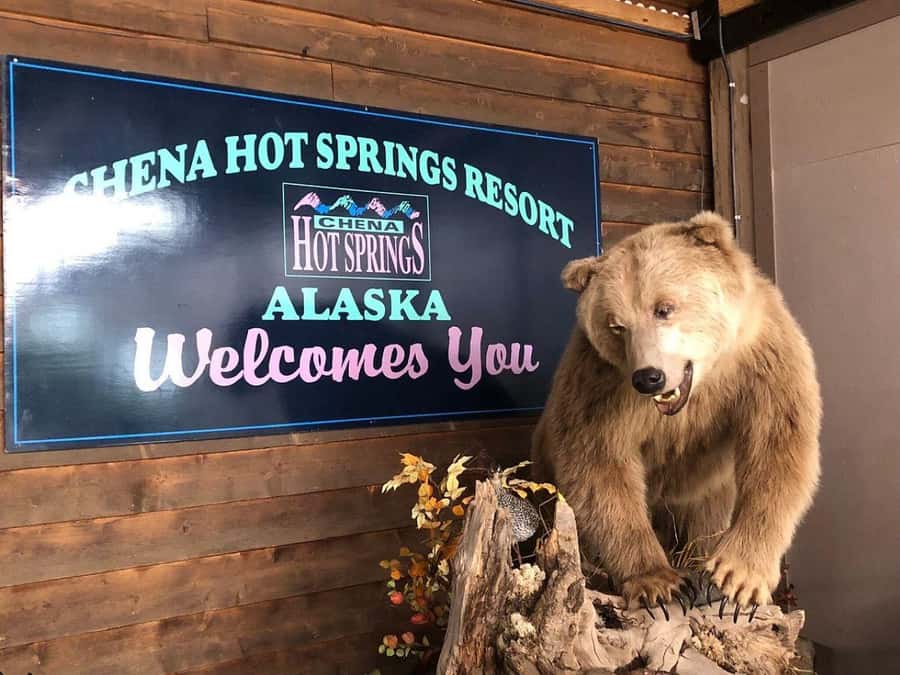 Fairbanks: Northern Lights and Chena Hot Springs Tour - Why this Fairbanks night works so well