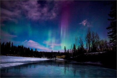 Northern Lights and Chena Hot Springs Tour