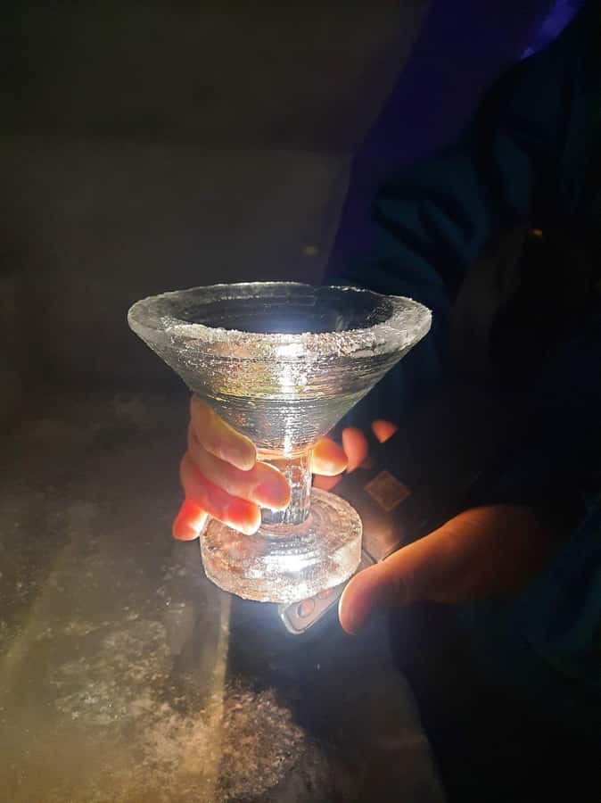 Fairbanks: Northern Lights and Chena Hot Springs Tour - Dinner at Chena Hot Springs Resort