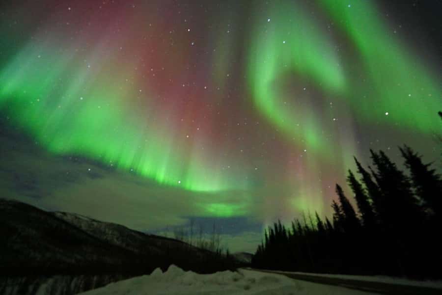 Fairbanks: Northern Lights and Chena Hot Springs Tour - Searching for the northern lights