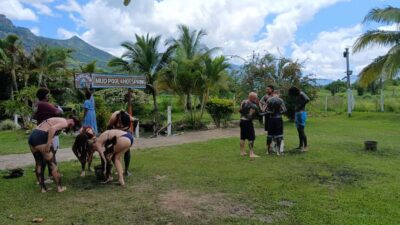 FIJI-NADI: Sabeto Tifajek Hot Spring and Mudpool Tour