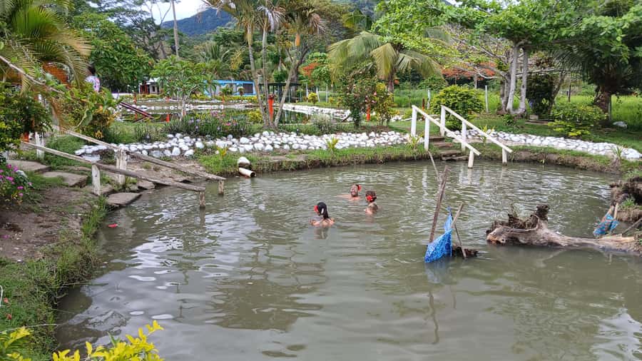 FIJI-NADI: Sabeto Tifajek Hot Spring and Mudpool Tour - What the optional massage adds