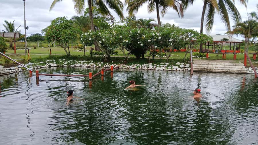 FIJI-NADI: Sabeto Tifajek Hot Spring and Mudpool Tour - Who will enjoy this experience most