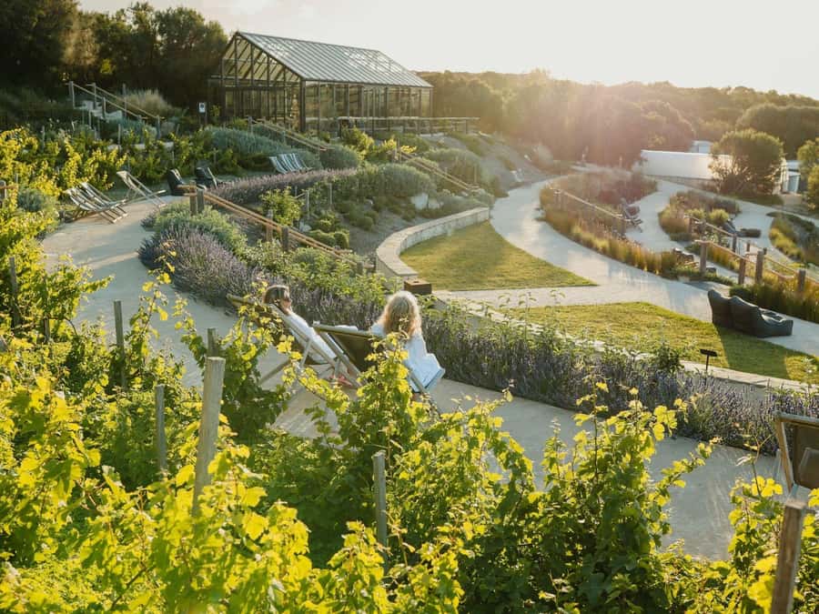 Fingal: Peninsula Hot Springs Entry with Lunch Credit - Lunch at the Bath House Cafe or Amphitheatre Cafe
