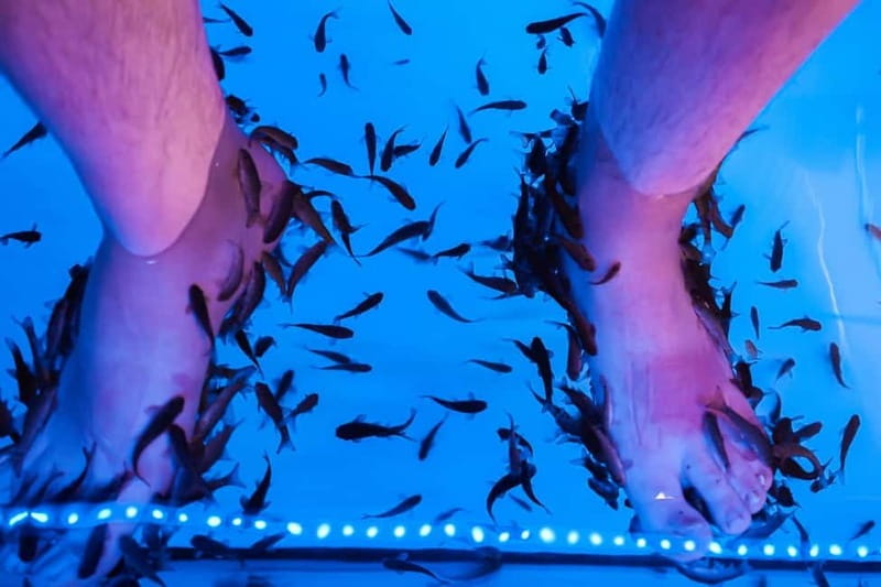 Fish Spa Experience Playa Fañabe - A good add-on, not a full spa day