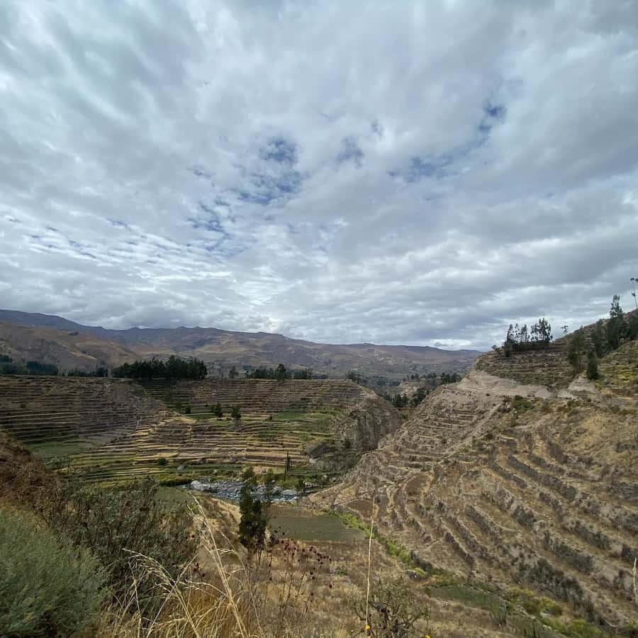 From Arequipa: Colca Canyon & La Calera Thermal Waters - Should you book it?