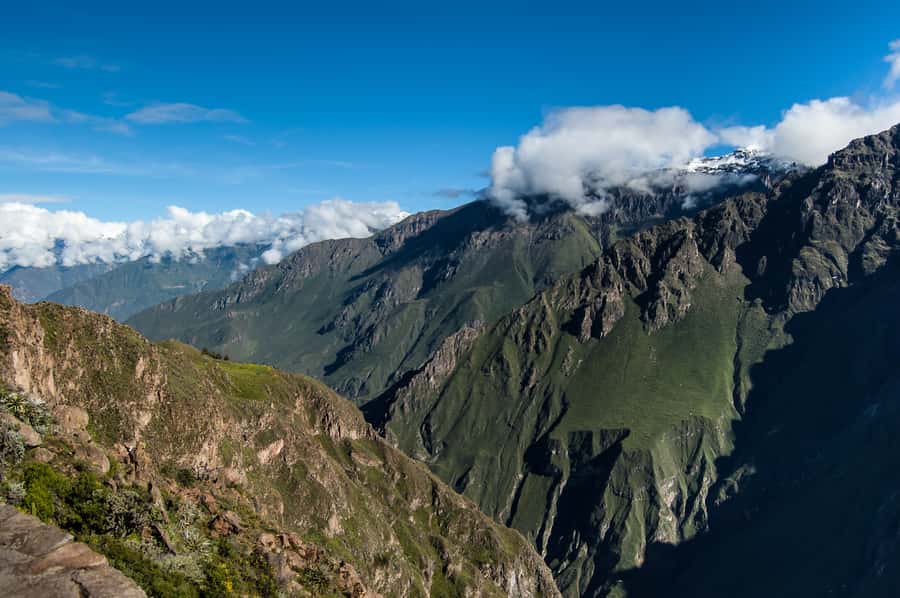From Arequipa: Colca Canyon & La Calera Thermal Waters - The road to Pampa Cañahuas and the volcano viewpoint
