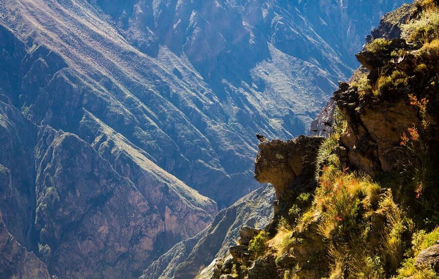 From Arequipa: Colca Valley & Thermal Baths Small-Group Trip - Transport, weather, altitude, and what to pack