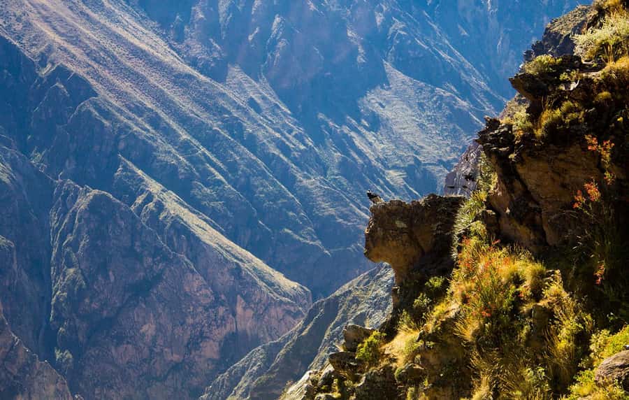 From Arequipa: Colca Valley & Thermal Baths Small-Group Trip - The 3:00 am departure and the climb into the Andes