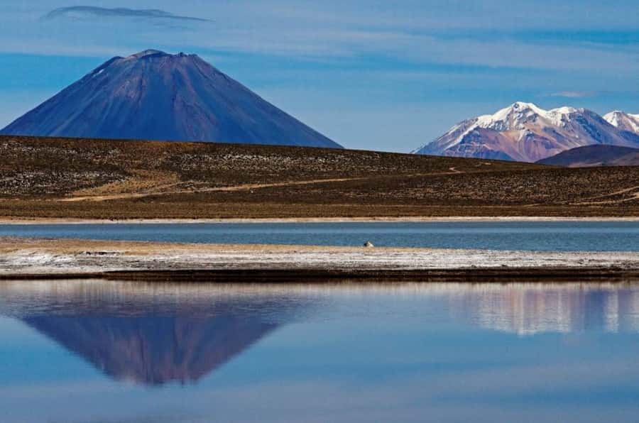 From Arequipa: Salinas Lagoon Full-Day Trip with Hot Springs - Alto Simbral at 4,200 meters