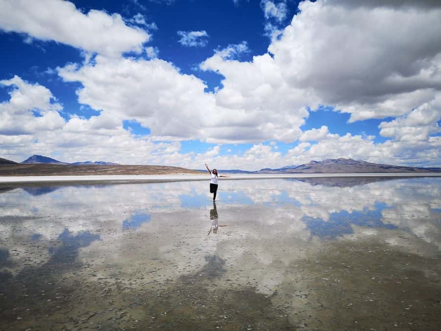 From Arequipa: Salinas Lagoon Full-Day Trip with Hot Springs - Wildlife and photo stops along the route