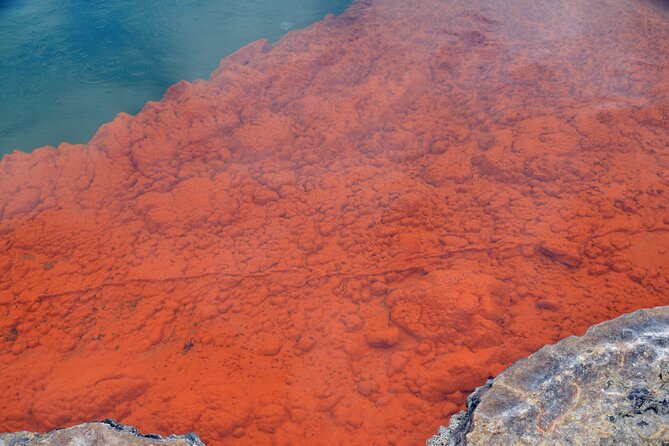 From Auckand: Waiotapu and Polynesian Spa Rotorua Day Tour - Wai-O-Tapu, where the ground puts on a show