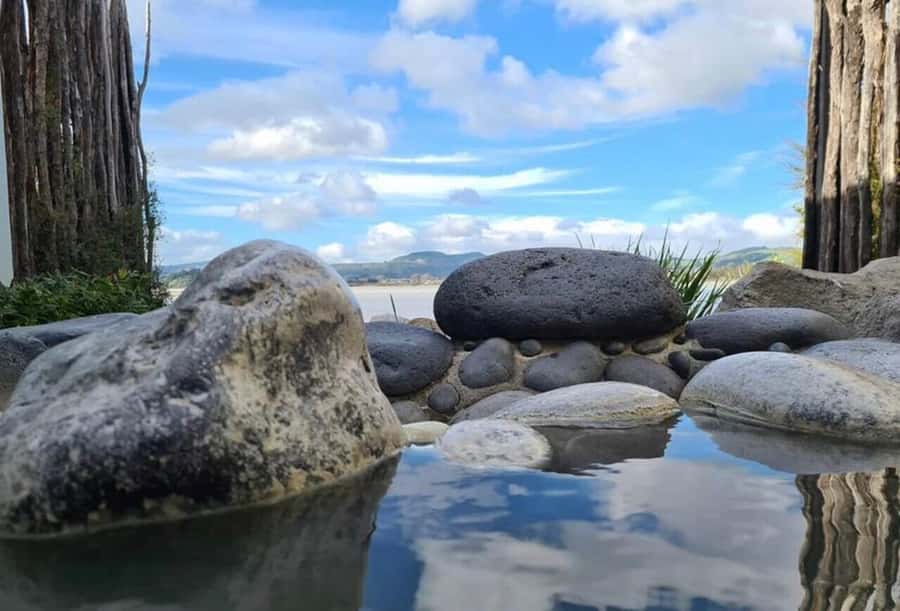 From Auckland: Rotorua Māori Village & Hot Springs with Haka - Who should book this experience