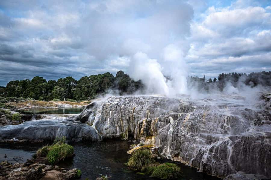 From Auckland: Rotorua Te Puia, Haka & Polynesian Spa Tour - From Auckland to Rotorua in a single long day
