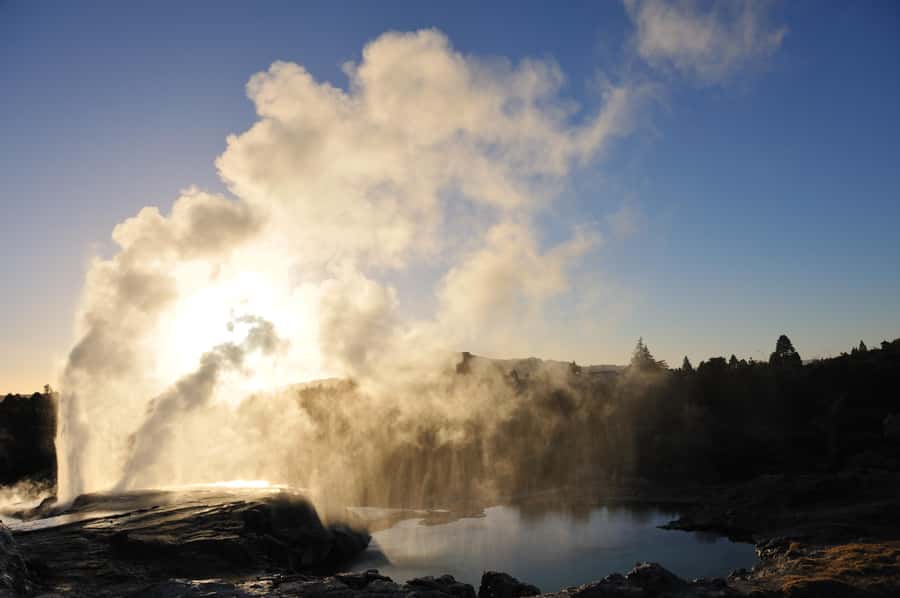 From Auckland: Rotorua Te Puia, Haka & Polynesian Spa Tour - A short visit to Te Puia, with useful expectations