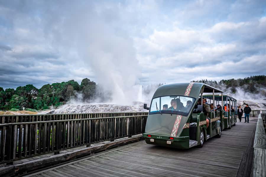 From Auckland: Rotorua Te Puia, Haka & Polynesian Spa Tour - Who will get the most from this tour