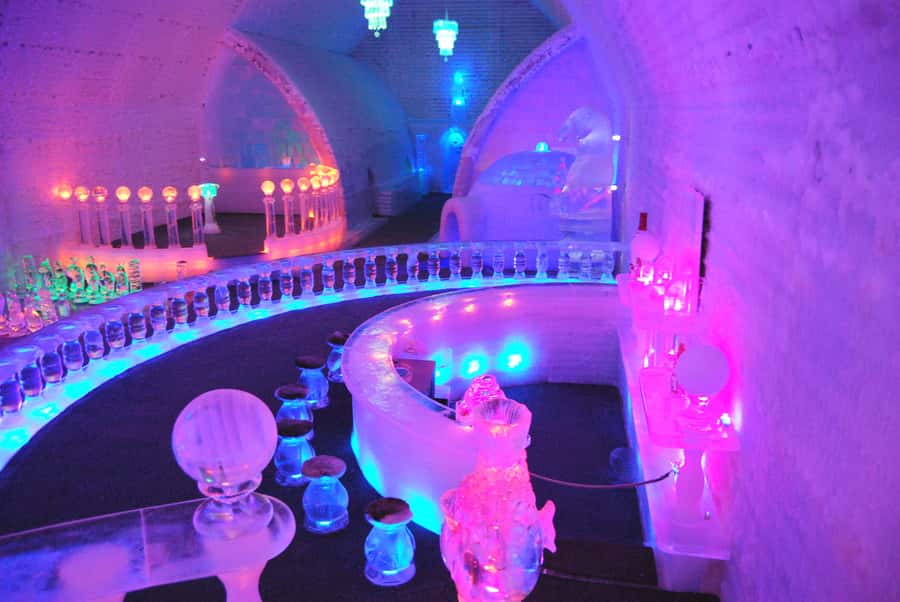 From Fairbanks: Chena Hot Springs Day Tour - Inside the Aurora Ice Museum at 25F