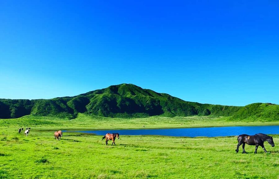 From Fukuoka: Mount Aso, Kurokawa Onsen, and Shrine Tour - Should you book it?