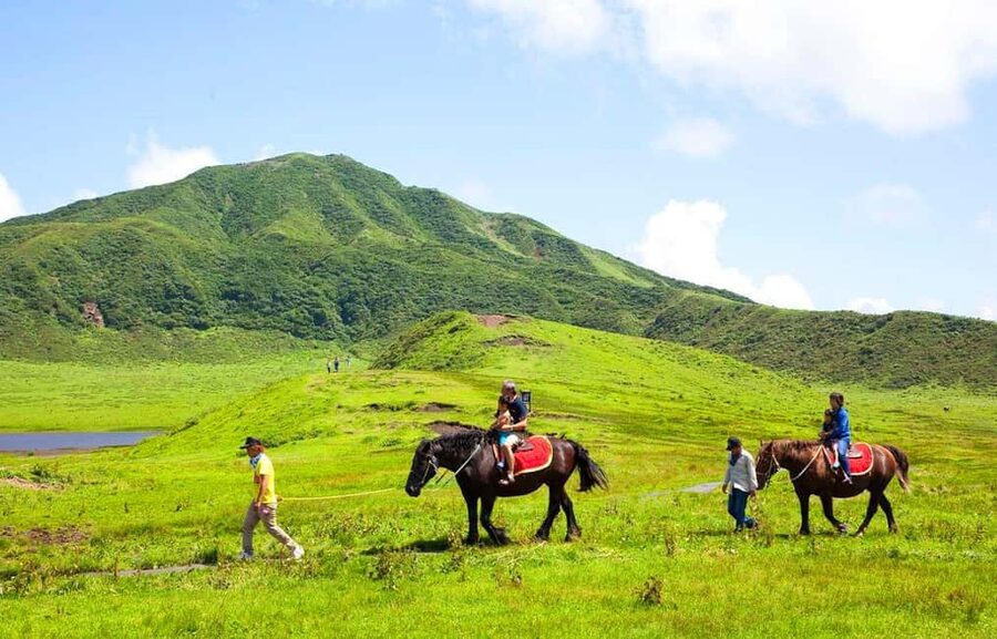 From Fukuoka: Mount Aso, Kurokawa Onsen, and Shrine Tour - What the $50 price really covers