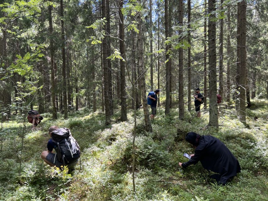 From Helsinki: Hike and Sauna in Sipoonkorpi National Park - From Kiasma to the Finnish forest