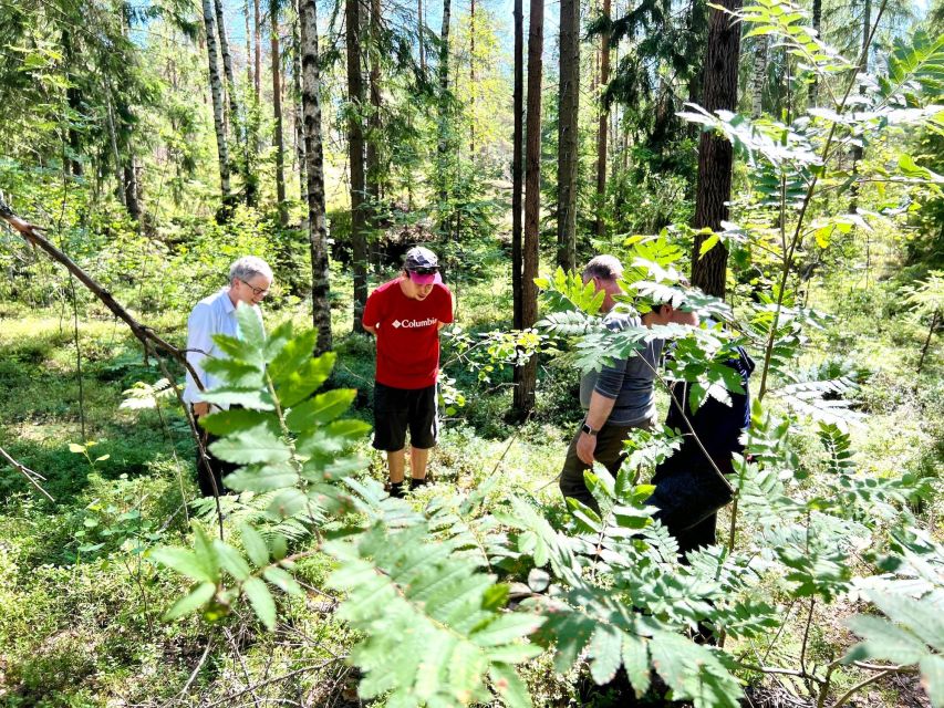 From Helsinki: Hike and Sauna in Sipoonkorpi National Park - A campfire lunch with a view