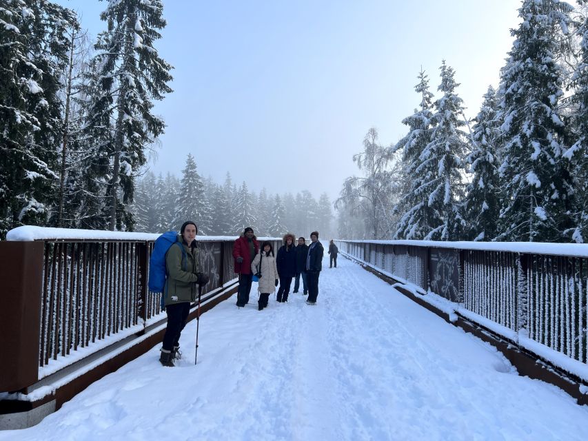 From Helsinki: Hike and Sauna in Sipoonkorpi National Park - How the timing works