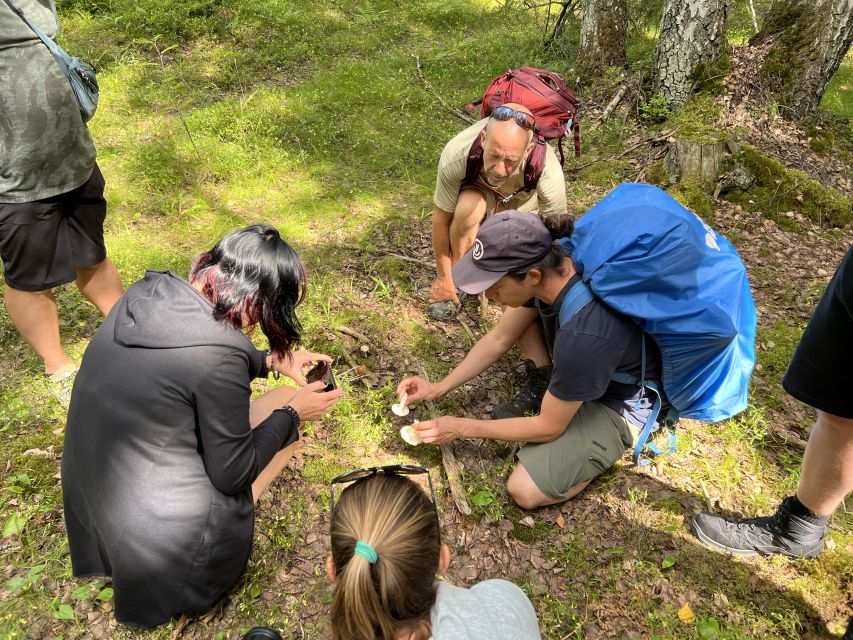 From Helsinki: Hike and Sauna in Sipoonkorpi National Park - Should you book it?