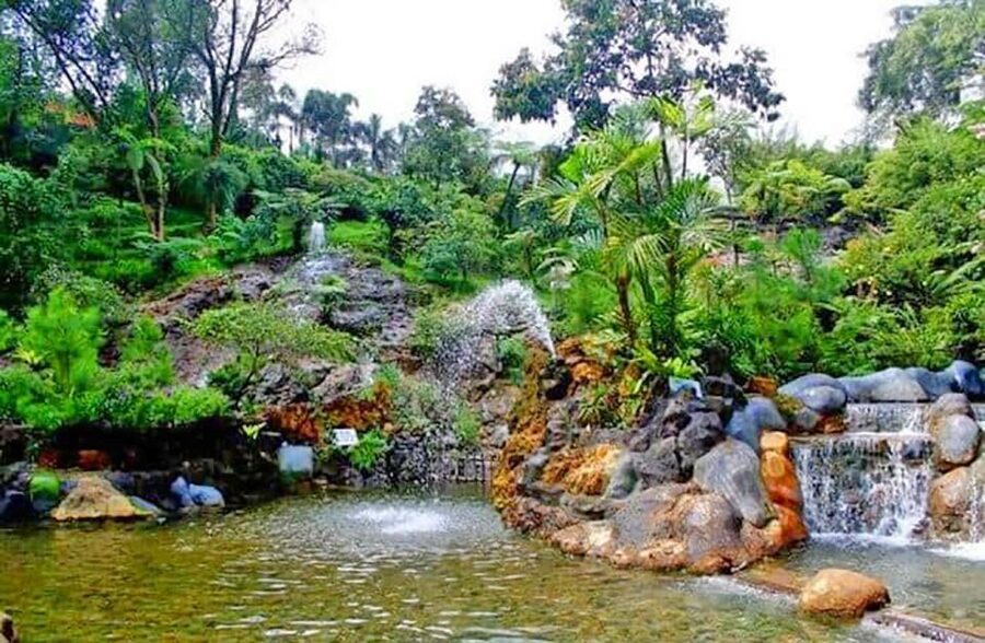From Jakarta : Volcano, Tea & Rice Fields, Hot Spring - Rice fields and the working countryside