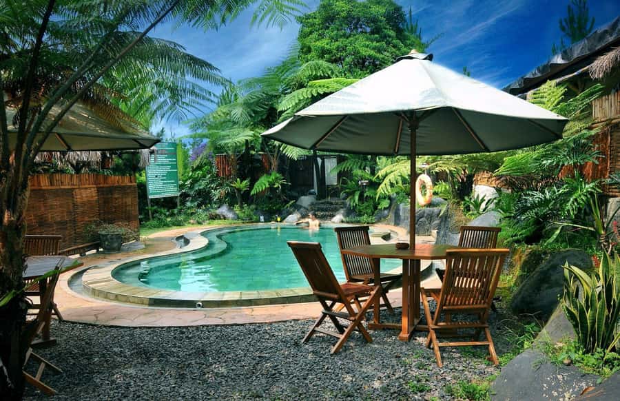 From Jakarta : Volcano, Tea & Rice Fields, Hot Spring - Luwak coffee at Cikole