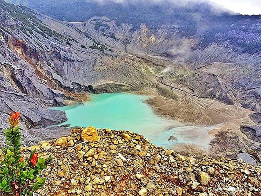 From Jakarta : Volcano, Tea & Rice Fields, Hot Spring - Tea plantations on the volcanic slopes