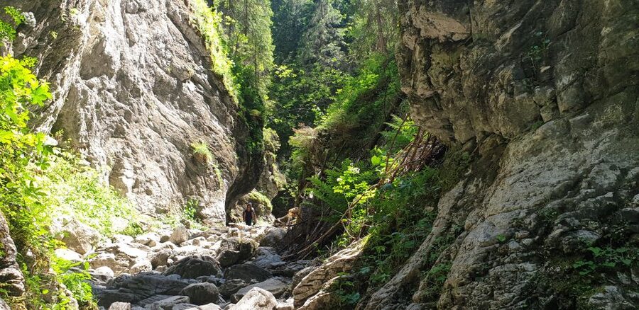 From Krakow: Hiking in the Tatra Mountains and Thermal baths - Who should book this experience?