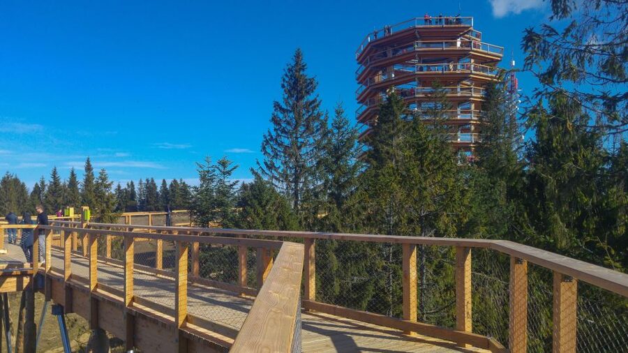 From Krakow: Slovakia Treetop Walk, Zakopane & Thermal Spa - Three mountain experiences in one day