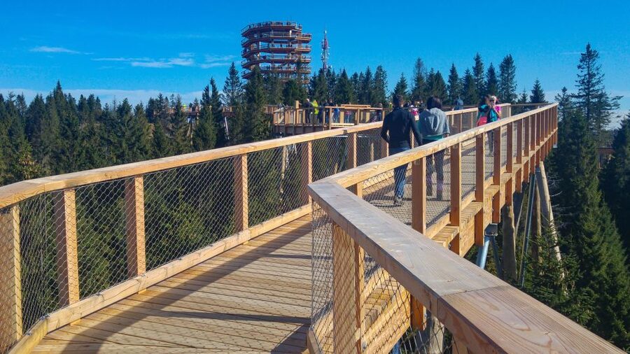 From Krakow: Slovakia Treetop Walk, Zakopane & Thermal Spa - Who will enjoy this day most?