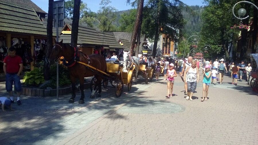 From Krakow: Zakopane & Hot Thermal Springs Private Tour - Should you book the Zakopane and thermal baths tour?
