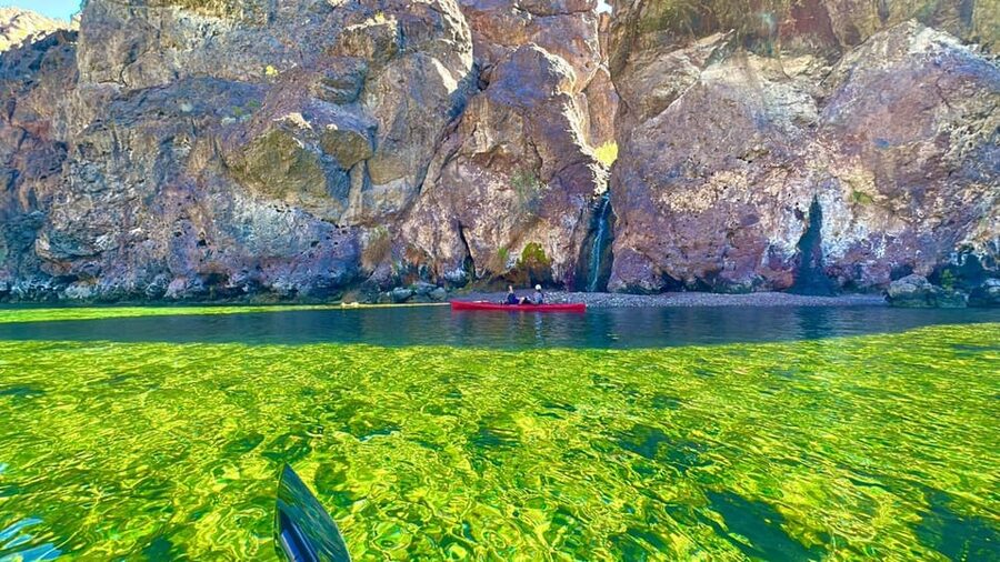 From Las Vegas: Hoover Dam Kayak Trip with 6 Hot Springs - Twelve miles downstream in a sit-inside kayak