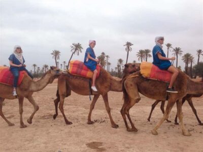 Camel Ride, Quad Bike & Spa Full-Day Trip