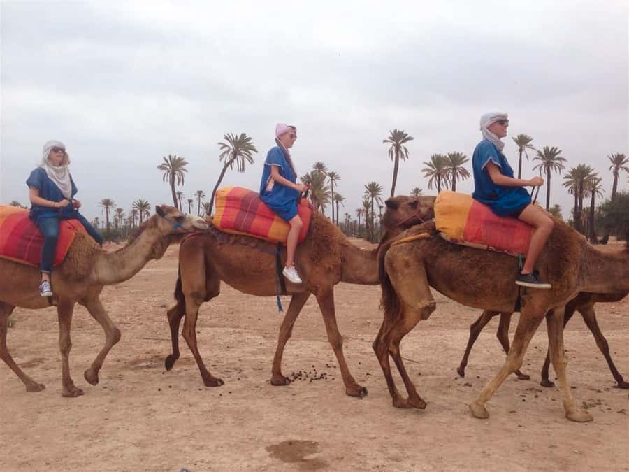 From Marrakech: Camel Ride, Quad Bike & Spa Full-Day Trip - Pickup, transport, and the shape of the day