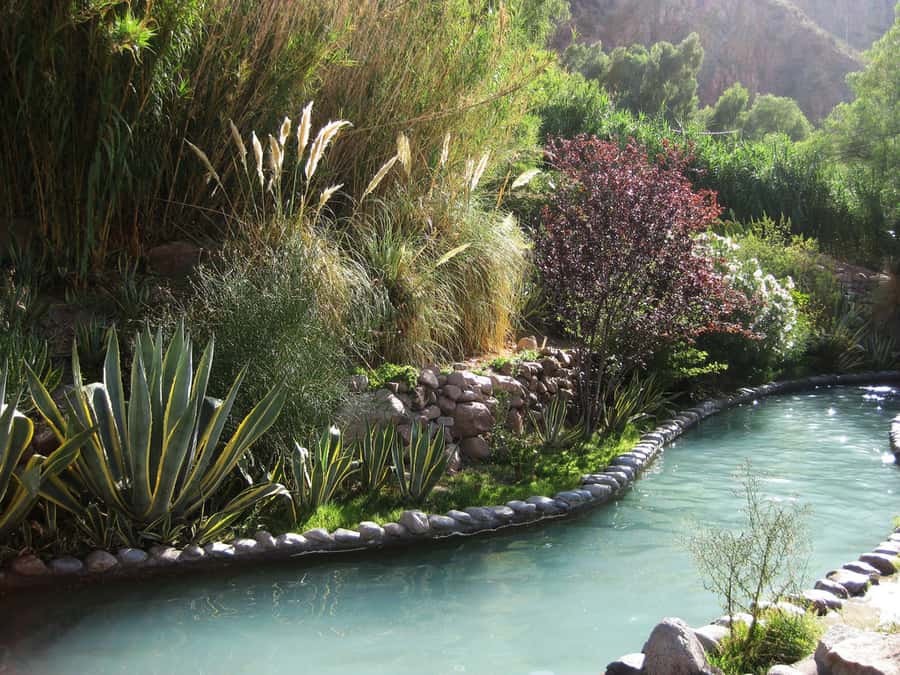 From Mendoza: Premium Spa Day at the Cacheuta Hot Springs - Massages, robes, and the small extras