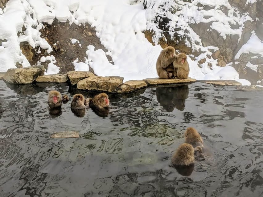 From Nozawa Onsen: Snow Monkeys and Zenko-ji Day Trip & Sake - Why this day trip works from Nozawa Onsen