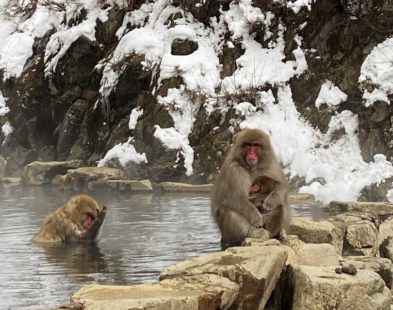 From Nozawa Onsen: Snow Monkeys and Zenko-ji Day Trip & Sake - Sake tasting with a local finish