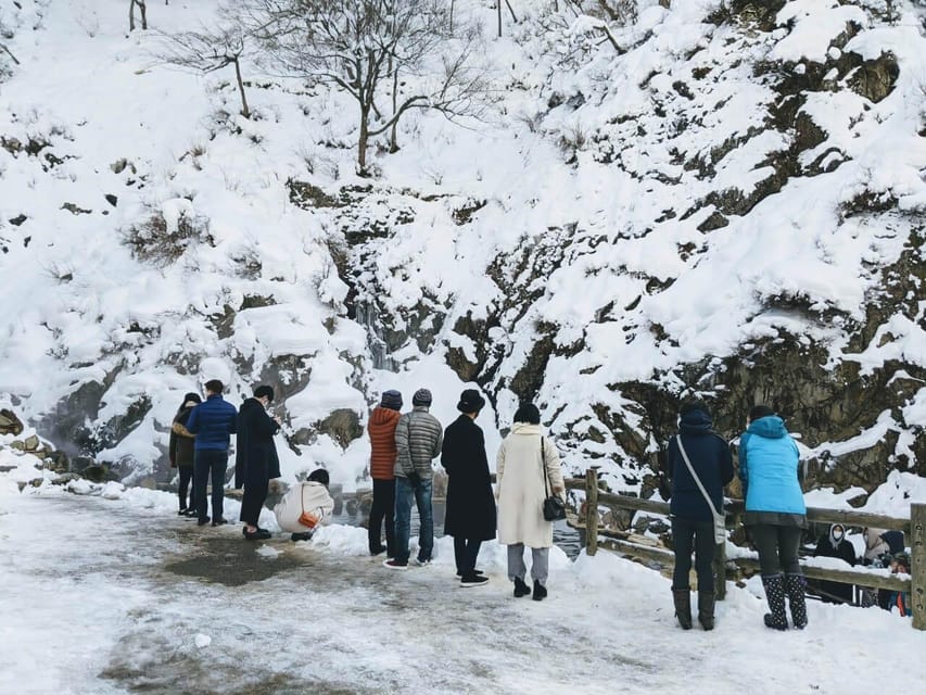 From Nozawa Onsen: Snow Monkeys and Zenko-ji Day Trip & Sake - Who should book this experience?
