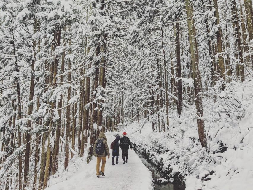 From Nozawa Onsen: Snow Monkeys and Zenko-ji Day Trip & Sake - The snowy walk to Jigokudani Monkey Park
